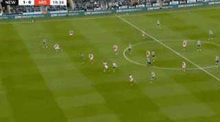 纽阿21.gif