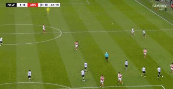 纽阿49.gif